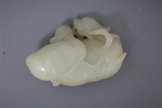 A good Chinese white jade group of two mandarin ducks biting lotus tendrils, 18th/19th century, L. 7.2cm